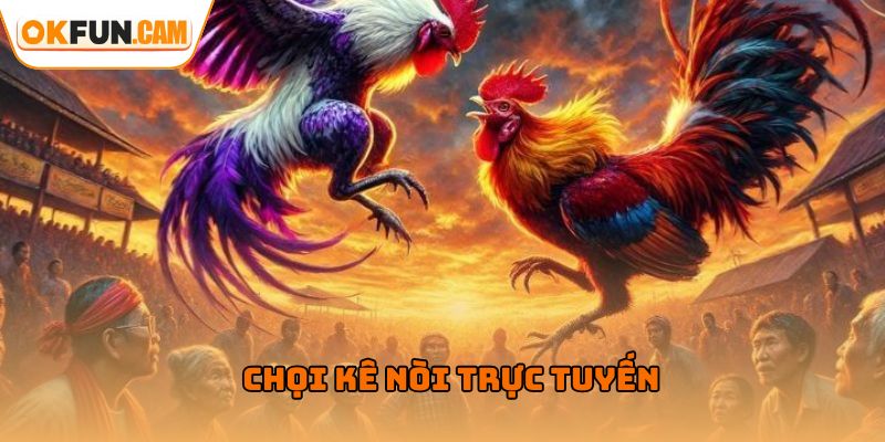 Chọi kê nòi trực tuyến chỉ có tại đá gà OKFUN