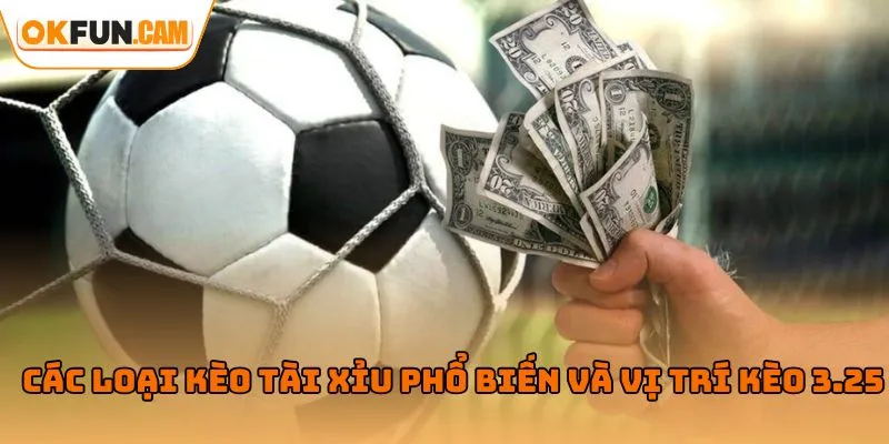 Các loại kèo tài xỉu phổ biến và vị trí kèo 3.25