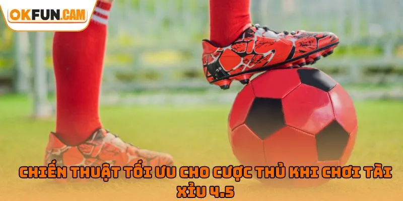 Chiến thuật tối ưu cho cược thủ khi chơi tài xỉu 4.5