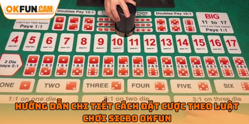 Hướng dẫn chi tiết cách đặt cược theo luật chơi Sicbo OKFUN