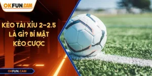 keo-tai-xiu-2-2-5-la-gi
