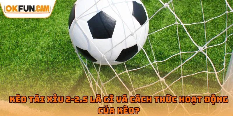 Kèo tài xỉu 2-2.5 là gì và cách thức hoạt động của kèo?