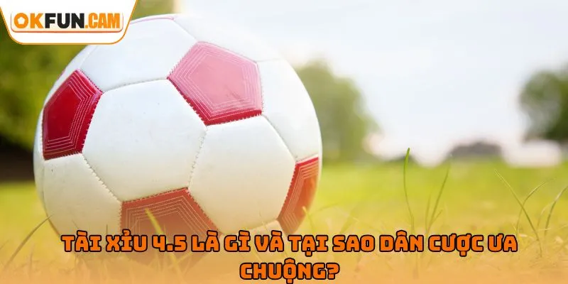 Tài Xỉu 4.5 là gì và tại sao dân cược ưa chuộng?